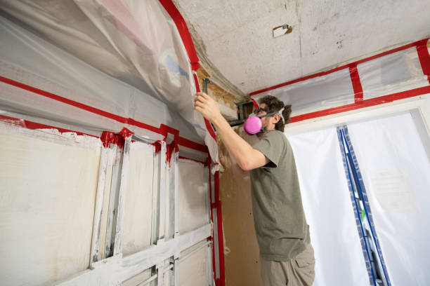 Best Water Damage & Mold Remediation  in Southwest Sandhill, TX