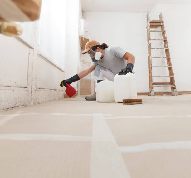 Mold Odor Removal Services in Southwest Sandhill, TX